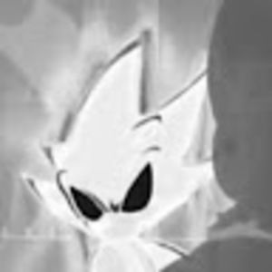 Meet your Posher, Damian